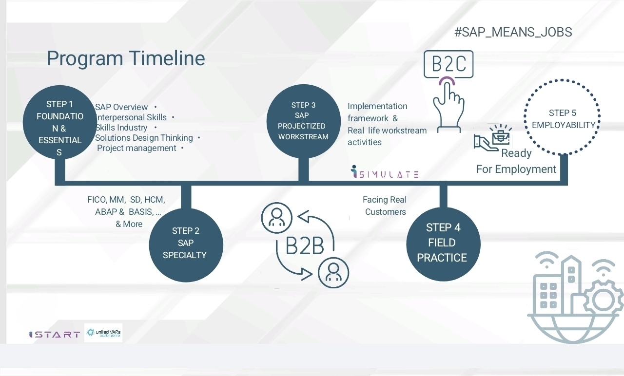 SAP Consultant Roadmap